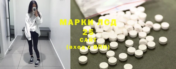 шишки Беломорск