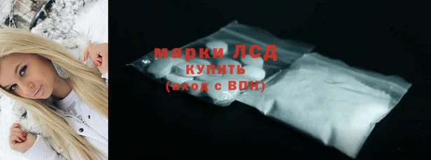 шишки Беломорск