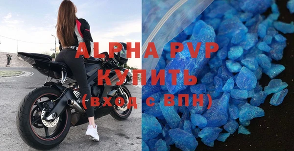 шишки Беломорск