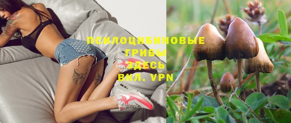 шишки Беломорск