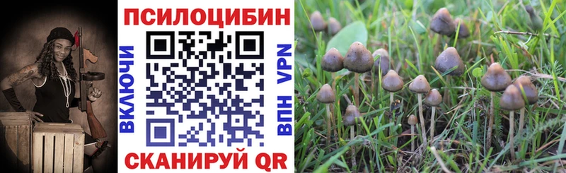 где можно купить наркотик  Выкса  MEGA рабочий сайт  Галлюциногенные грибы MAGIC MUSHROOMS 